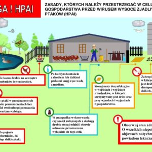 UWAGA – ptasia grypa – Apel do hodowców ptactwa UWAGA – ptasia grypa – Apel do hodowców ptactwa