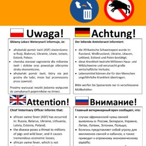 INFORMACJA – AFRYKAŃSKI POMÓR ŚWIŃ (ASF) INFORMACJA – AFRYKAŃSKI POMÓR ŚWIŃ (ASF)