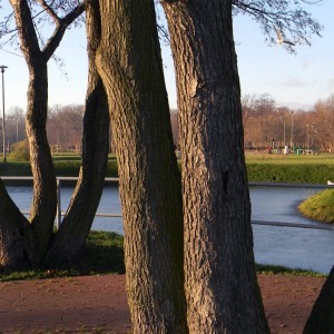 Prywatne: