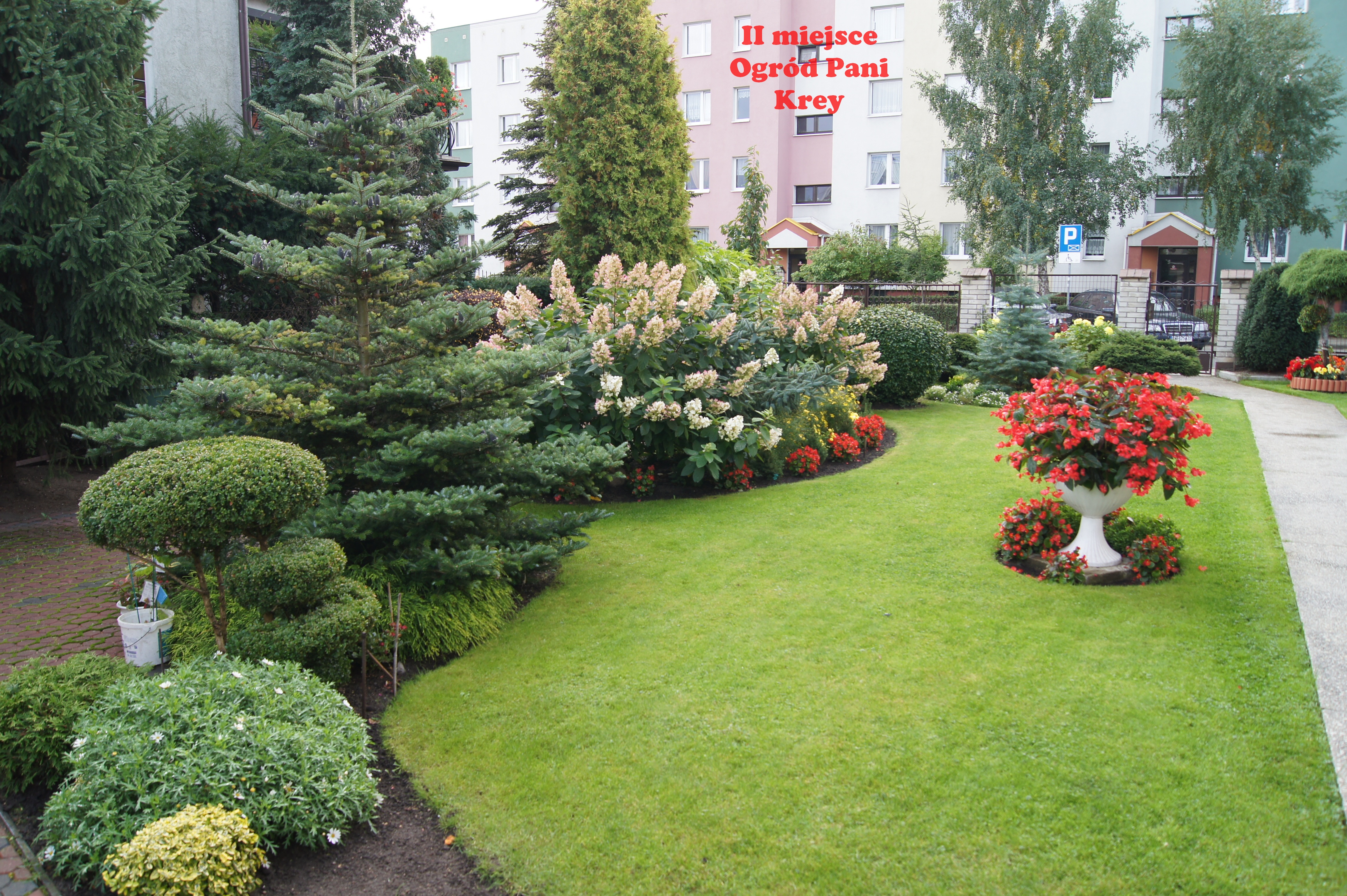 Konkurs na najładniejszy ogród przydomowy na terenie miasta Redy