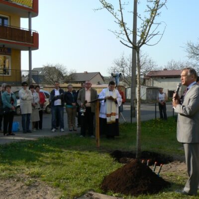 Posadzili drzewo życia dla Papieża