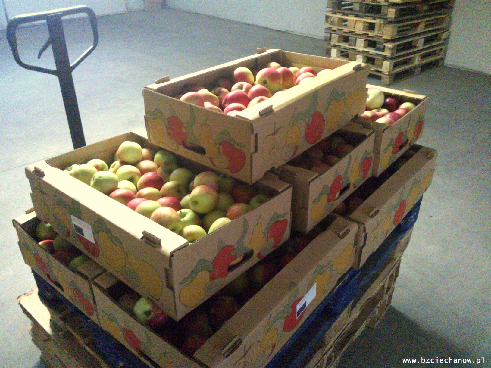 19 ton jabłek z banku żywności trafiło do redzkich szkół i do MOPS