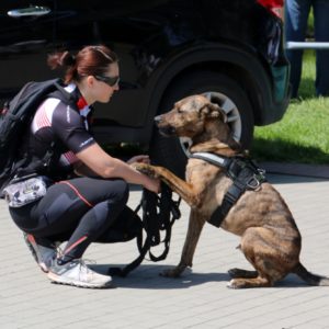 Pomorski Puchar Dogtrekkingu