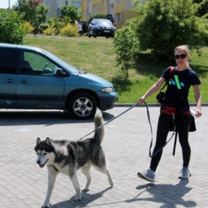 Pomorski Puchar Dogtrekkingu