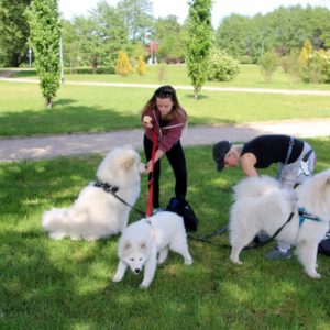 Pomorski Puchar Dogtrekkingu