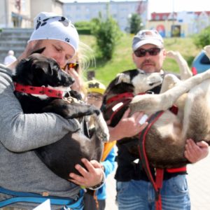 Pomorski Puchar Dogtrekkingu