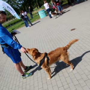 Pomorski Puchar Dogtrekkingu