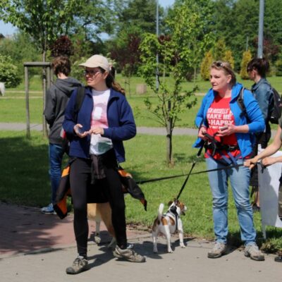 Pomorski Puchar Dogtrekkingu