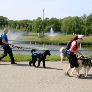 Pomorski Puchar Dogtrekkingu
