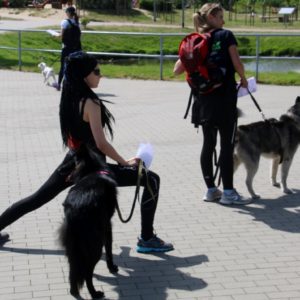 Pomorski Puchar Dogtrekkingu