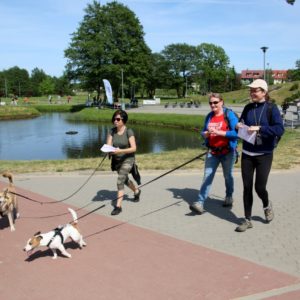 Pomorski Puchar Dogtrekkingu