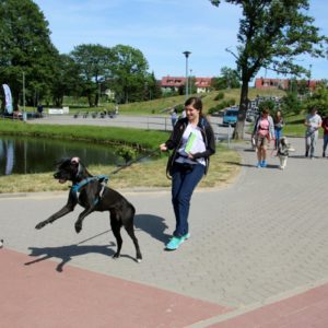 Pomorski Puchar Dogtrekkingu