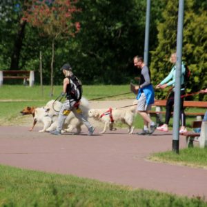 Pomorski Puchar Dogtrekkingu