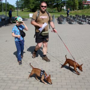 Pomorski Puchar Dogtrekkingu