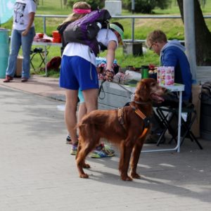 Pomorski Puchar Dogtrekkingu