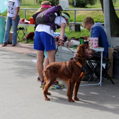 Pomorski Puchar Dogtrekkingu