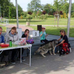 Pomorski Puchar Dogtrekkingu