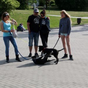Pomorski Puchar Dogtrekkingu