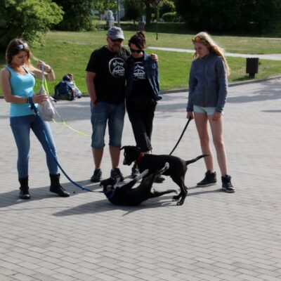 Pomorski Puchar Dogtrekkingu