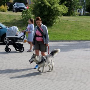 Pomorski Puchar Dogtrekkingu