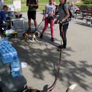 Pomorski Puchar Dogtrekkingu