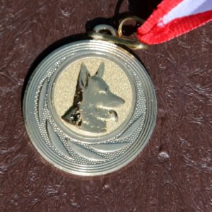 Pomorski Puchar Dogtrekkingu