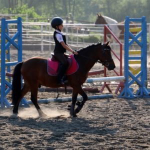 Redzki sport młodzieżowy we współzawodnictwie krajowym