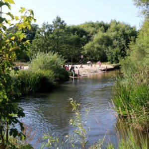 Za nami kolejny aktywny weekend w Parku Miejskim