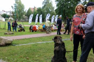 Niedzielne festyny w Redzie