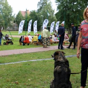 Niedzielne festyny w Redzie