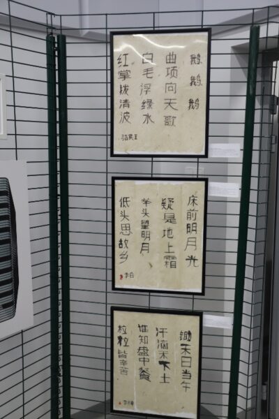 Img 1105 (533x800)