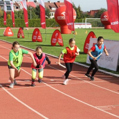Img 5667 (800x512)