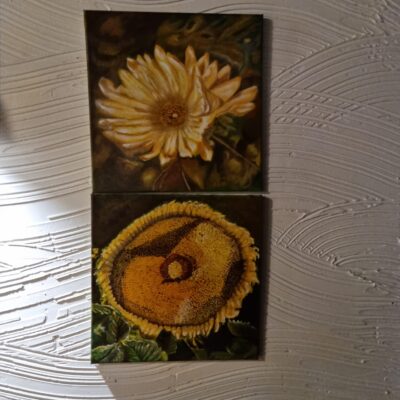 Img 20221128 Wa0023