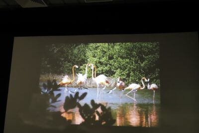 Img 8092 (800x533)
