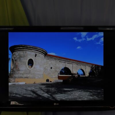 Img 6203 (800x533)