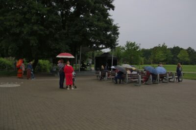 Img 0881 (800x533)