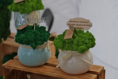 Img 6671 (800x533)