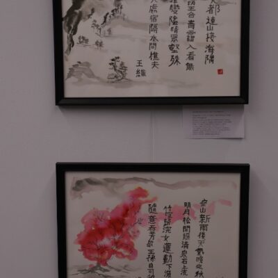 Img 5127 (533x800)