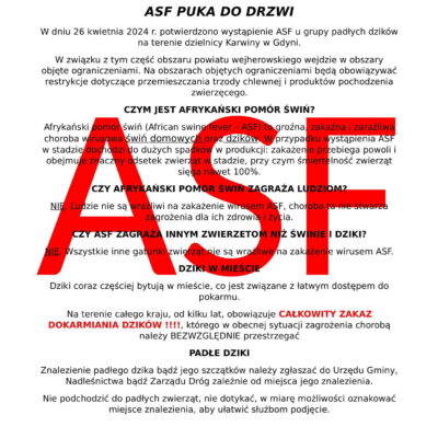 Afrykański pomór świń – KOMUNIKAT