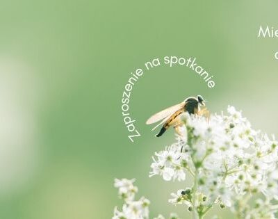 23.09, godz. 17:00 – drugie spotkanie partycypacyjne z mieszkańcami Miasta Redy pn. Wyniki Diagnozy do Planu – zagrożenia klimatyczne Miasta Redy oraz jego podatność na zmiany klimatu
