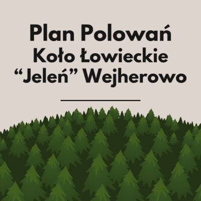Plan polowań zbiorowych w sezonie 2024/2025