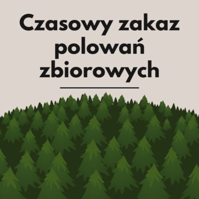 Czasowy zakaz organizowania polowań
