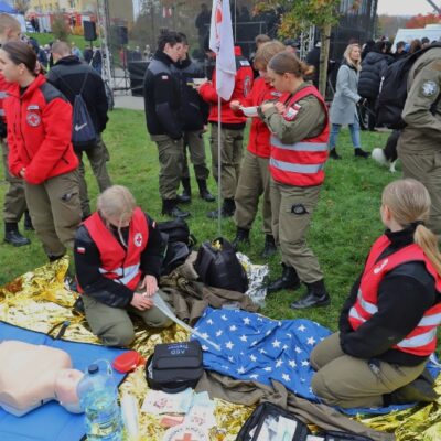 11.11.2024, Piknik Niepodległościowy. fot. Michał Kaczmarek