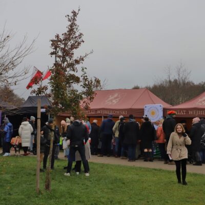 11.11.2024, Piknik Niepodległościowy. fot. Michał Kaczmarek