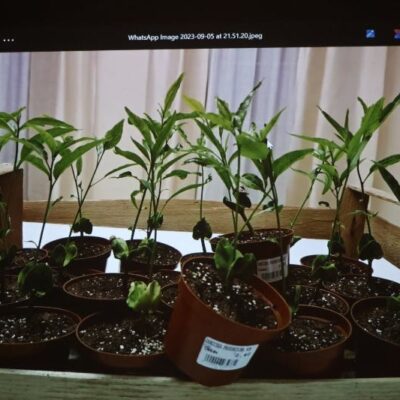 7.02.2025 Fabryka Kultury Spotkanie Podróżnicze Fot Michał Kaczmarek 87