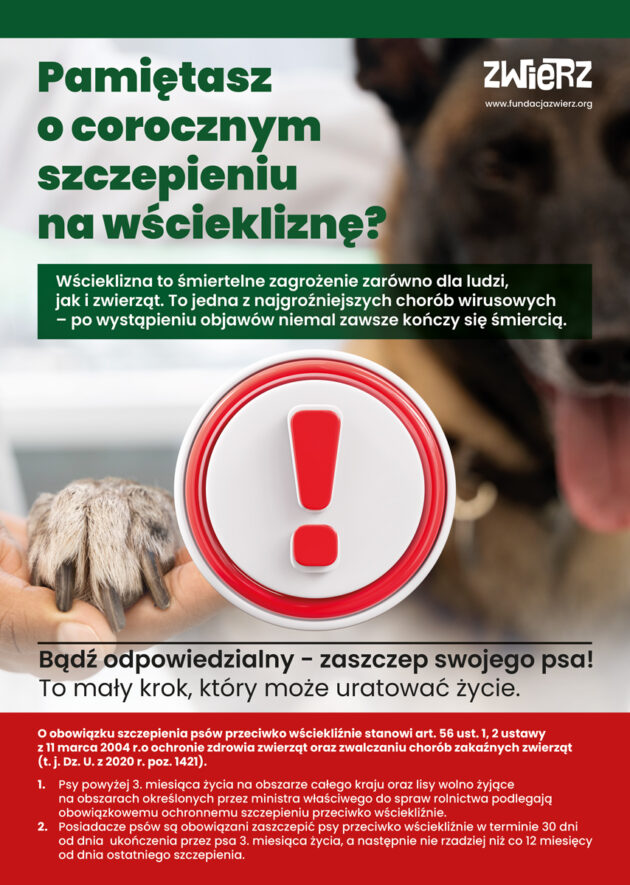 Zwierz Szczepienia Plakat A3 Www