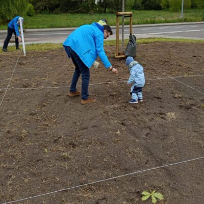 Łąka kwietna w Betlejem, wspólne sianie z mieszkańcami, 17.05.2025, fot. UMR