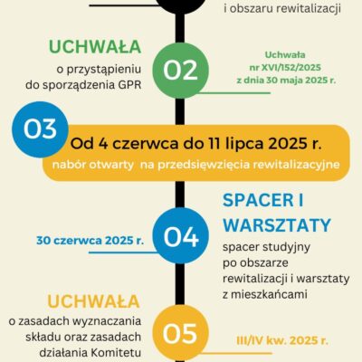 Grey Clean Project Timeline Infographic(2)