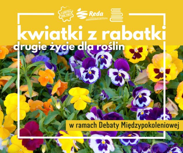 Kwiatki Z Rabatki