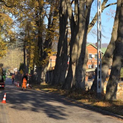 Pielęgnacja Pomników Przyrody 2025